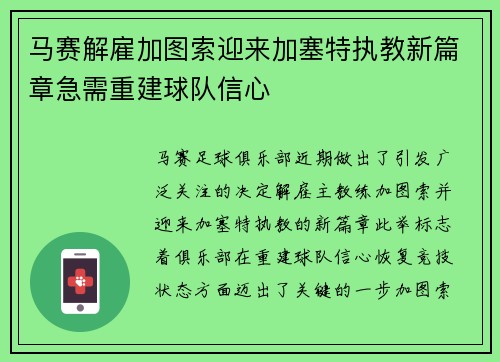 马赛解雇加图索迎来加塞特执教新篇章急需重建球队信心
